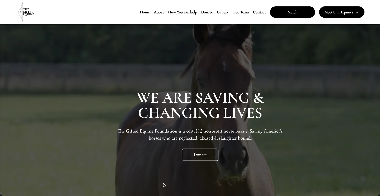 The Gifted Equine. Nonprofit · Equine Rescue & Sanctuary