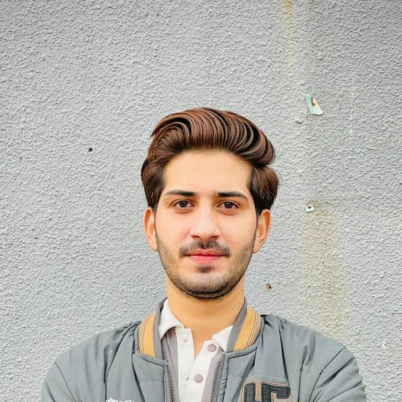 Shawaiz Zahid, Project Manager